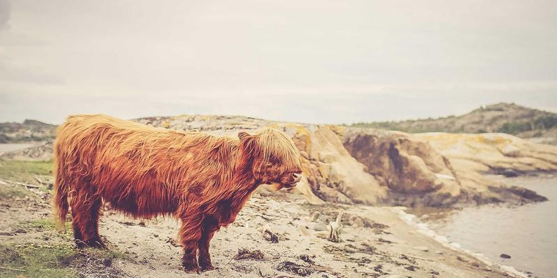 2024智能家居安全警示:当自动化邂逅日式禅意,如何筑起隐形防护墙?