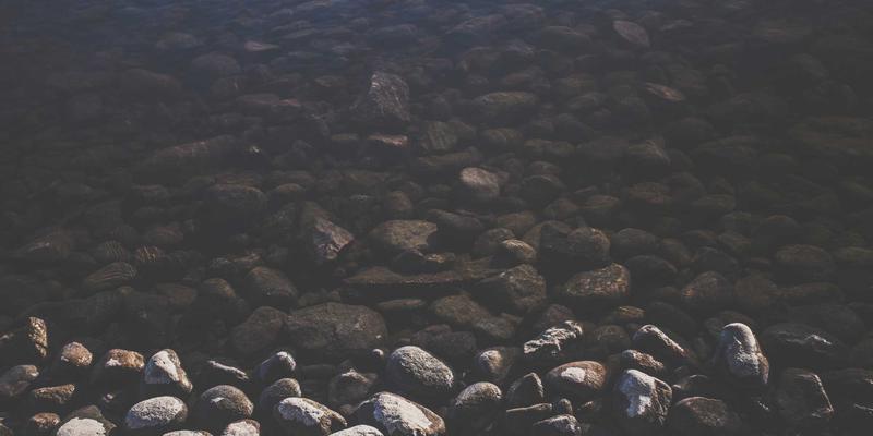 从零搭建智能感知网络：温湿度、光照、人体感应如何重塑你的智慧生活