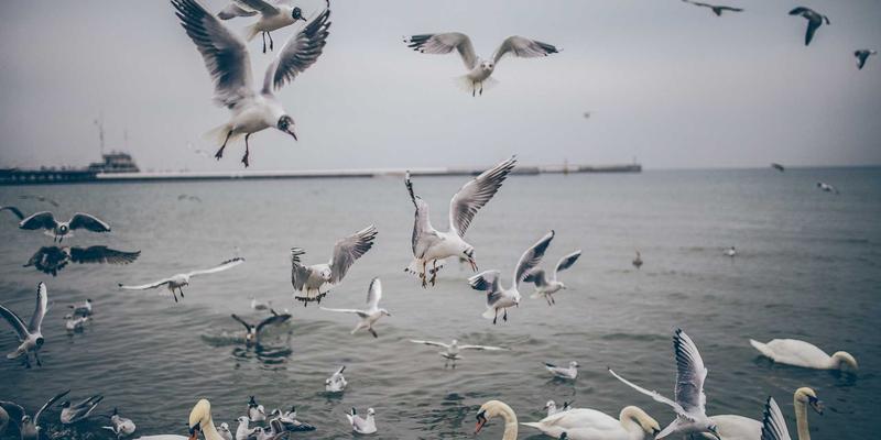 打破壁垒，智享生活：智能家居如何实现跨平台设备兼容与联动