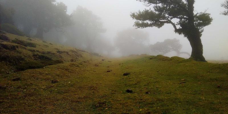 智慧生活新维度：智能家居如何通过光与声的调控，成为您心理健康的守护者