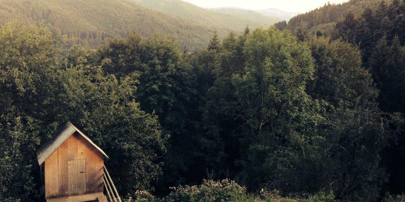 智能家居语音控制方案对比：内置麦克风设备与独立智能音箱，隐私与便利性如何抉择？