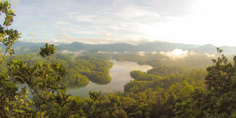 毫米波雷达如何重塑智能家居感知?无摄像头的精准人数统计与行为识别新方案