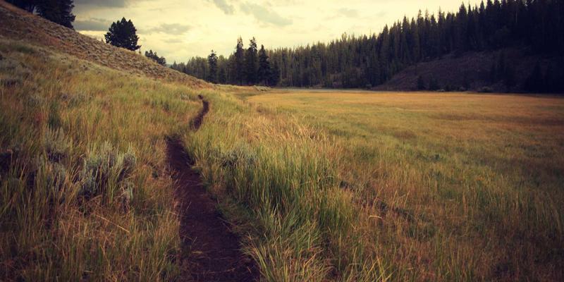 银发智慧家:物联网赋能,三大适老化智能家居改造方案照亮安全晚年